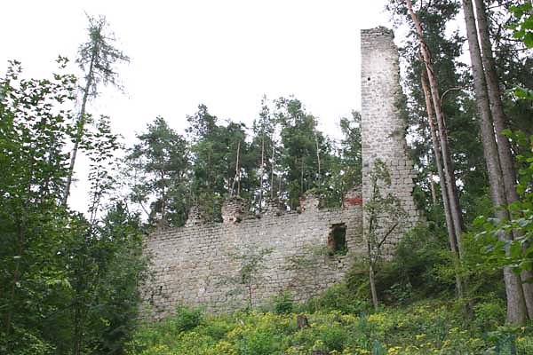 Ruine Klingenberg 
