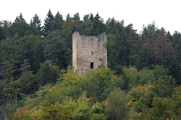 Ruine Freyenstein