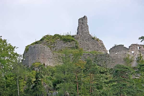 Ruine Hohenberg 