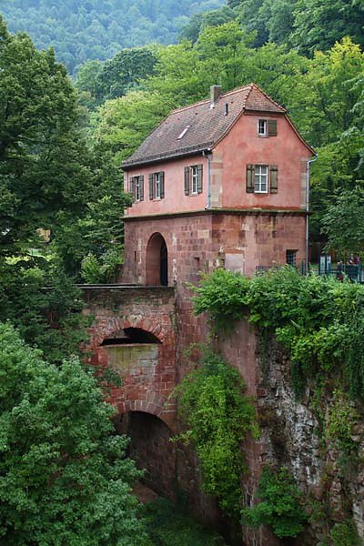 Schlossruine-Heidelberg-36.jpg