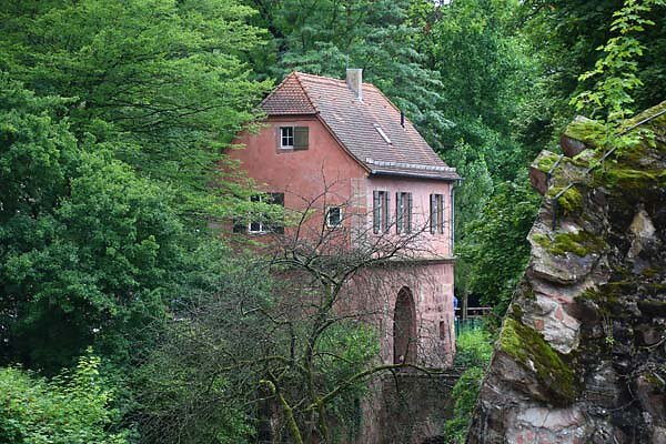Schlossruine-Heidelberg-385.jpg