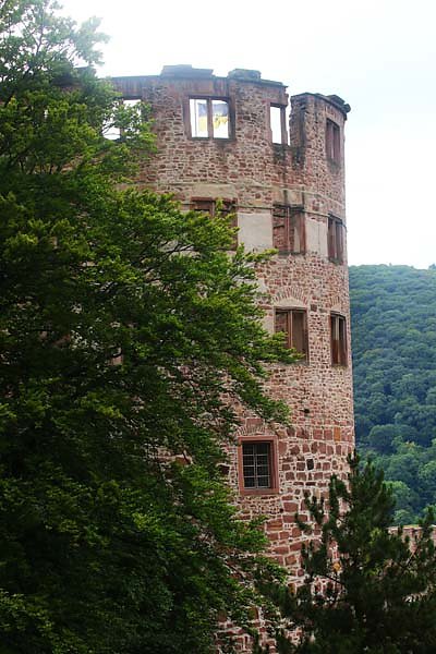 Schlossruine-Heidelberg-389.jpg