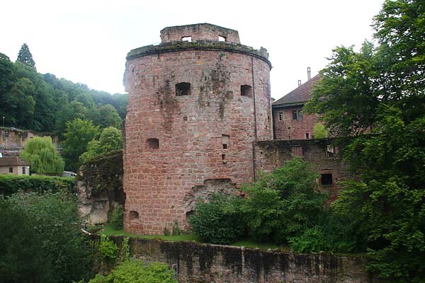 Schlossruine-Heidelberg-396.jpg