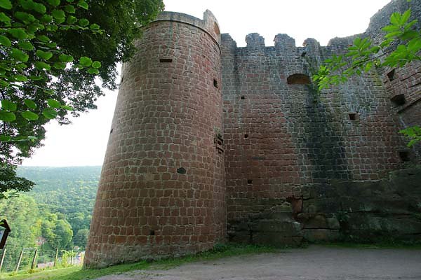 Schloss-und-Festungsruine-Hardenburg-2.jpg