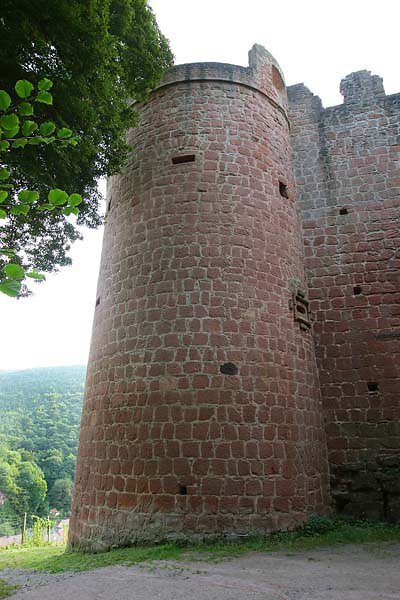 Schloss-und-Festungsruine-Hardenburg-3.jpg