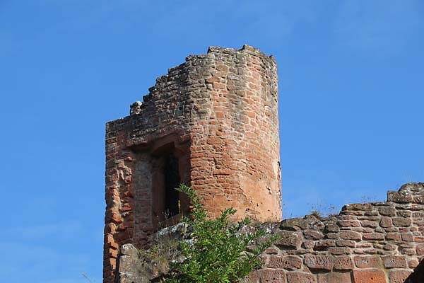 Schloss-und-Festungsruine-Hardenburg-42.jpg