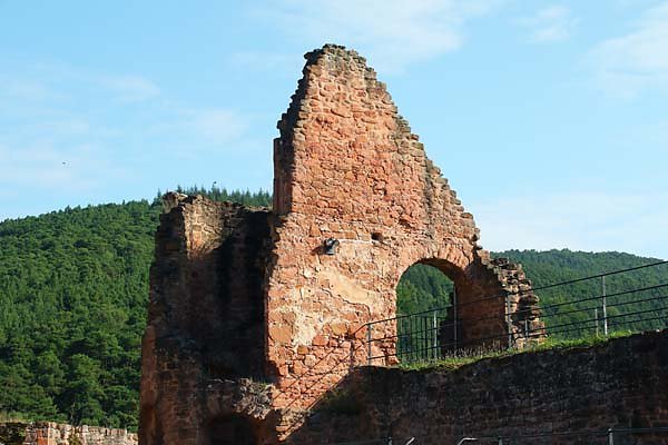 Schloss-und-Festungsruine-Hardenburg-64.jpg
