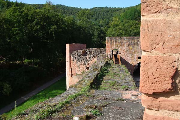 Schloss-und-Festungsruine-Hardenburg-81.jpg