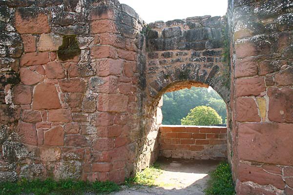 Schloss-und-Festungsruine-Hardenburg-116.jpg