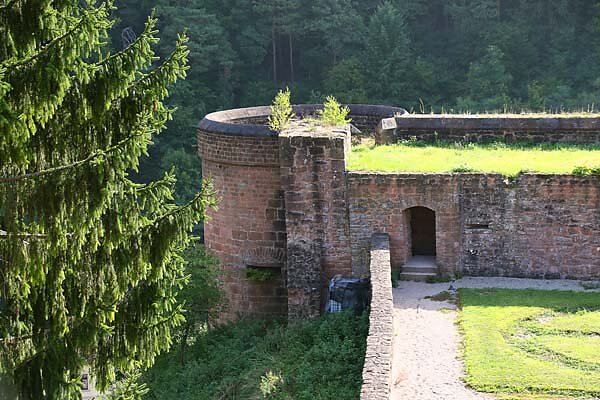 Schloss-und-Festungsruine-Hardenburg-120.jpg