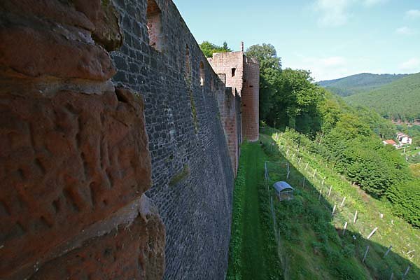 Schloss-und-Festungsruine-Hardenburg-132.jpg