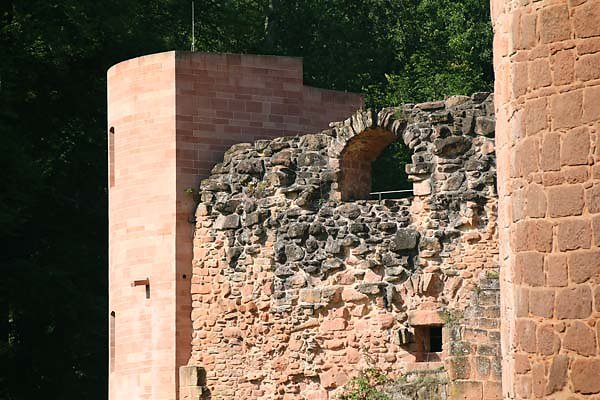 Schloss-und-Festungsruine-Hardenburg-171.jpg
