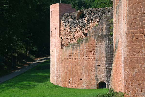 Schloss-und-Festungsruine-Hardenburg-174.jpg