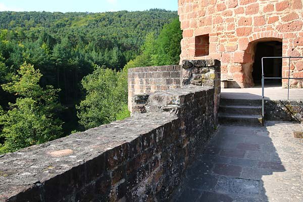 Schloss-und-Festungsruine-Hardenburg-245.jpg