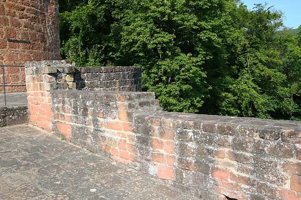 Schloss-und-Festungsruine-Hardenburg-246.jpg