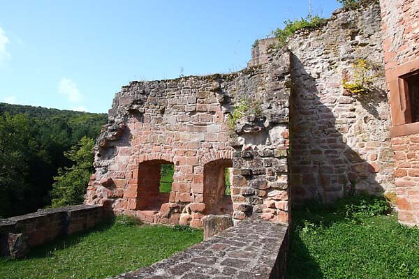 Schloss-und-Festungsruine-Hardenburg-251.jpg