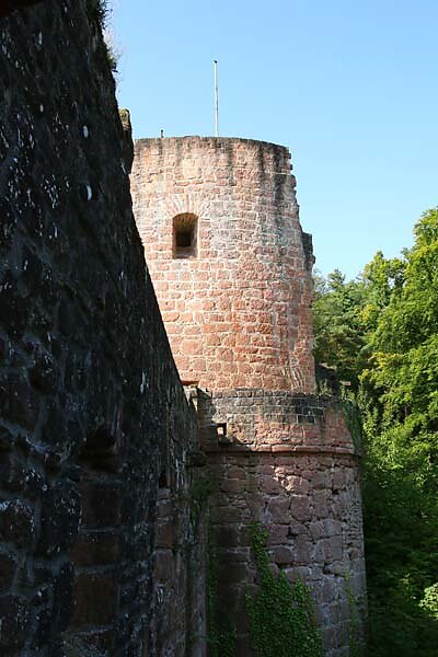 Schloss-und-Festungsruine-Hardenburg-281.jpg