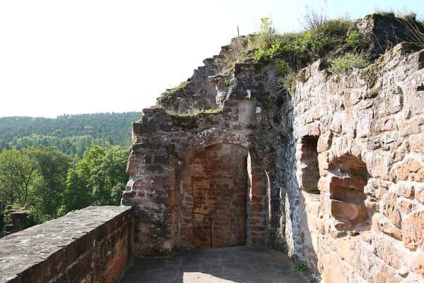 Schloss-und-Festungsruine-Hardenburg-296.jpg
