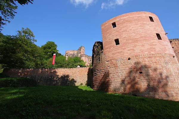 Schloss-und-Festungsruine-Hardenburg-347.jpg
