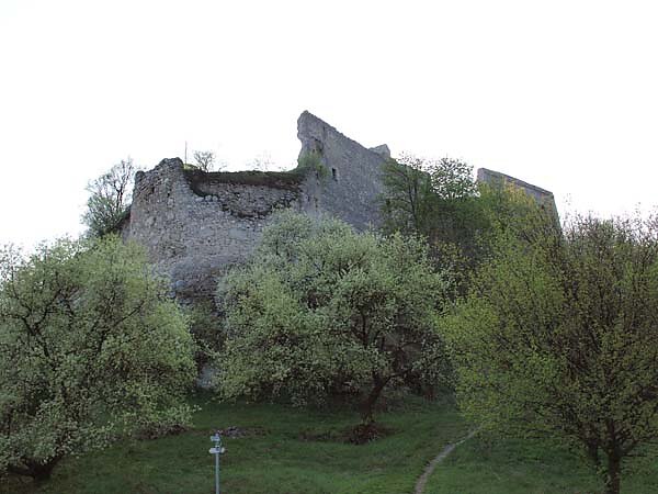 Burgruine-Falkenstein-379.jpg